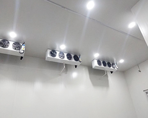 食物冷冻温度是多少？