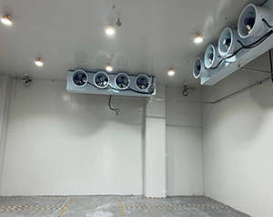 防爆冷库是什么意思？化工防爆冷库厂家联系方式