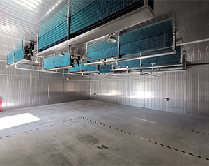 电子化工冷库建设项目实施方案