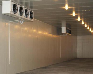 低温冷库安装重点考虑要点