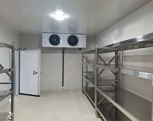 高温冷库的建设流程与注意事项