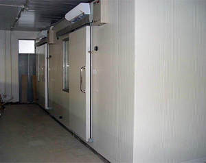 榴莲冷冻库、榴莲冷库贮藏技术、榴莲速冻库建造成本多少