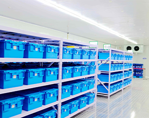 药厂/药企2-8℃冷库安装及造价费用是多少