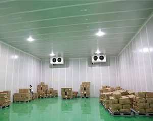 农产品物流冷库，电商低温仓储冷库建造及运营成本预算