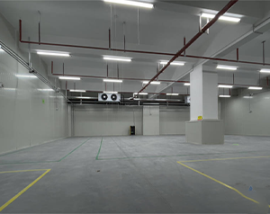 建一个1000吨气调保鲜库得投资多少钱