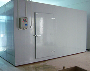 鲜花冷库保鲜最佳方法