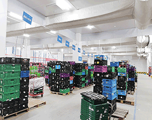 100吨冷库造价大概多少钱？