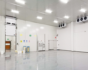 阴凉库设计方案