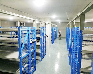 阴凉库设计布局