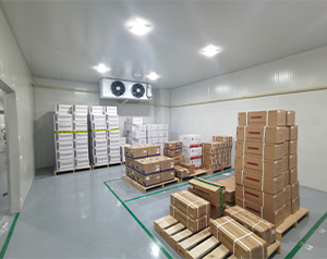 重庆大型医药冷库安装费用是多少?