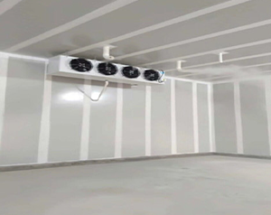 重庆1000平速冻冷库安装多少钱？