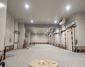 保鲜食品冷库定制标准是什么？