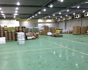 冷库和厂房可以合建吗？