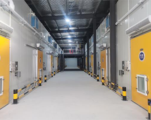 医用冷库自动化系统设计规范标准