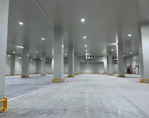 内蒙古果蔬冷库建造厂家