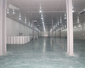 湖北生鲜物流冷库造价多少钱一间？