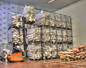 建造一个10吨的肉品冷冻库多少钱？