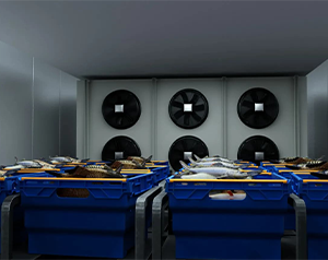 山东1000平生鲜冷库建造多少钱？