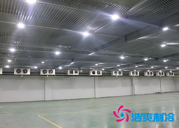 大型冷库工程建造