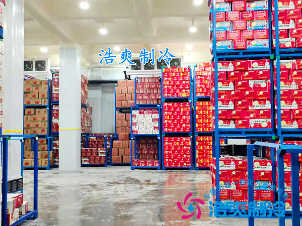 苹果冷库安装
