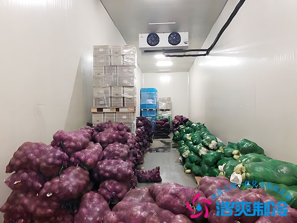 蔬菜保鲜冷库安装