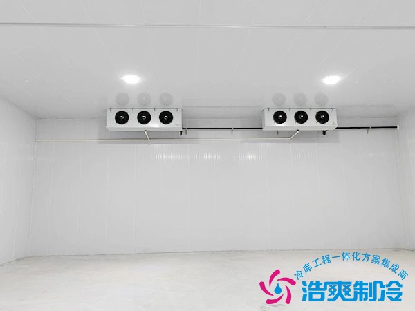 蔬菜保鲜冷库造价