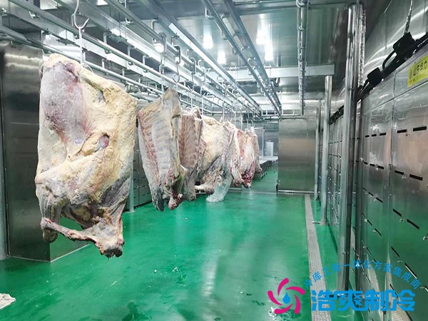 食品肉类冷冻库造价参考