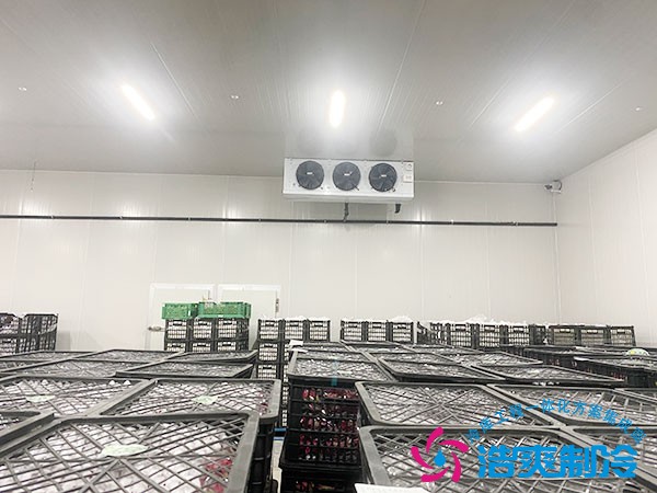 300立方冷库造价