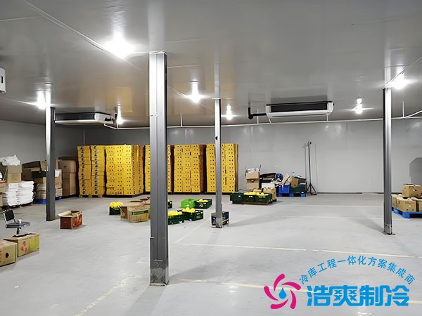 蔬菜冷库造价