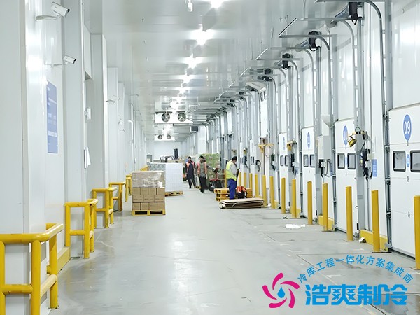 大型冷链物流园冷库设计方案