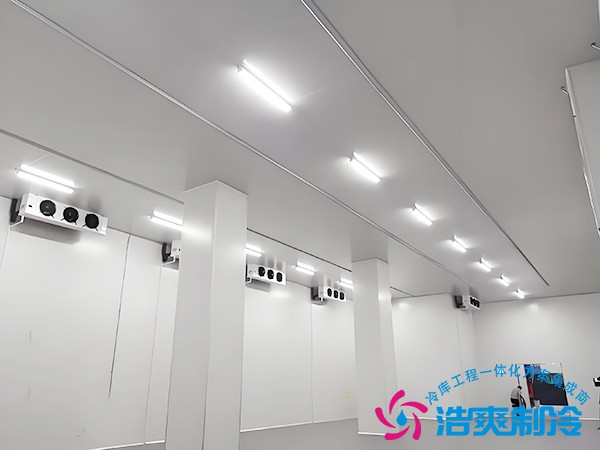 大型冷库造价多少钱一立方