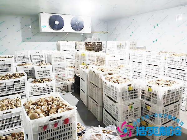 食用菌冷库建设