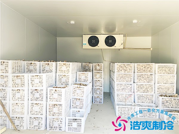 食用菌冷库建设