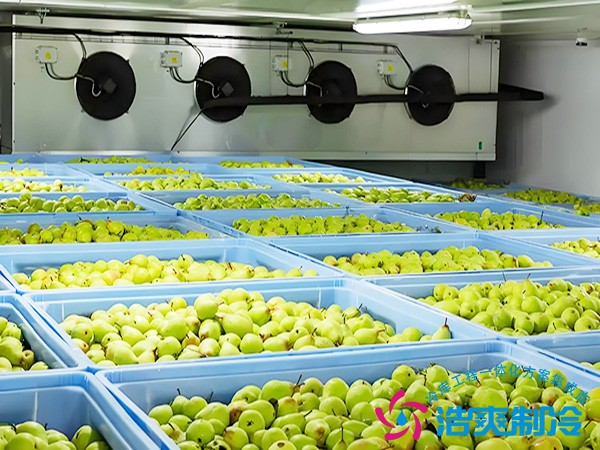 水果冷库建造多少钱