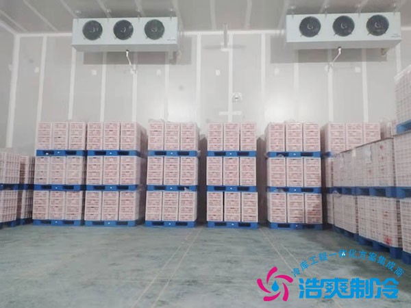 上海、浙江、江苏小型冷库建造全套报价