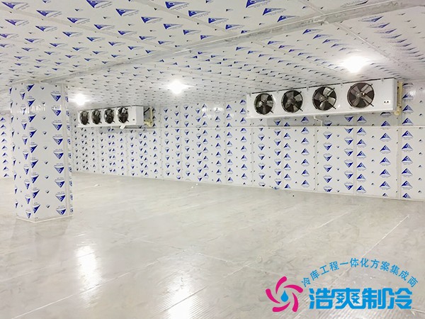 制冰冷库建造
