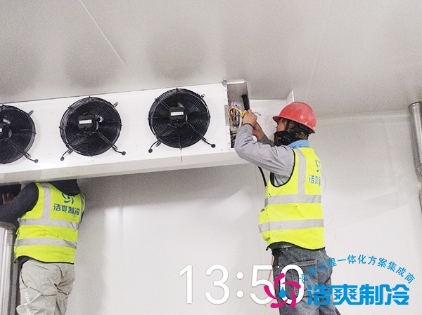 兔肉深加工冷冻库造价