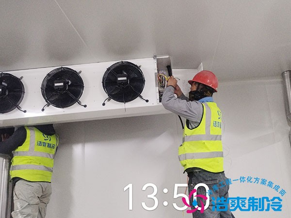 100平米冷冻库造价预算