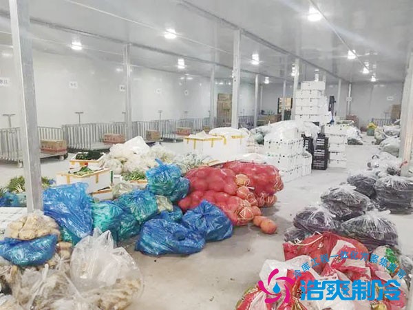 叶子菜保鲜冷库造价预估表