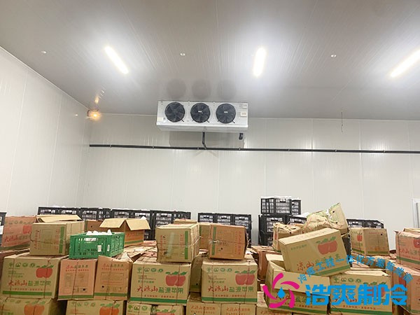 果蔬冷库多少钱一平方