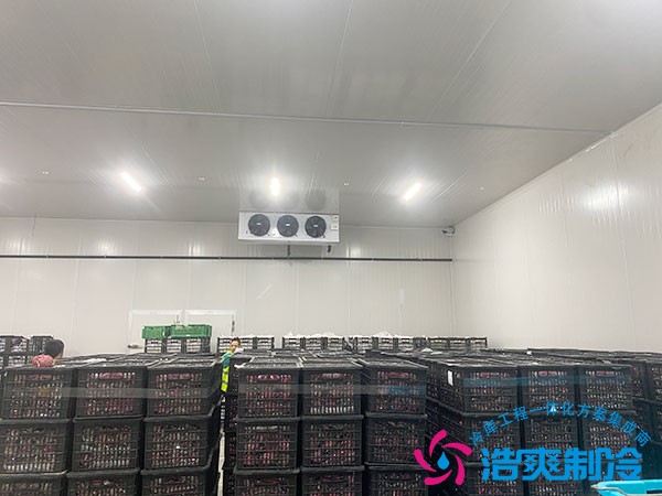 土豆保鲜冷库建造费用