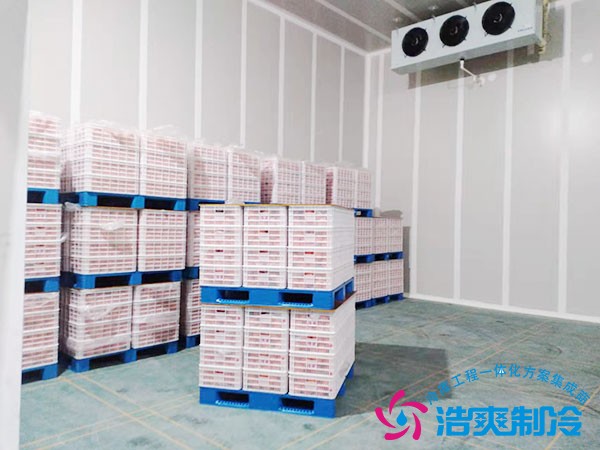 土豆保鲜冷库造价表