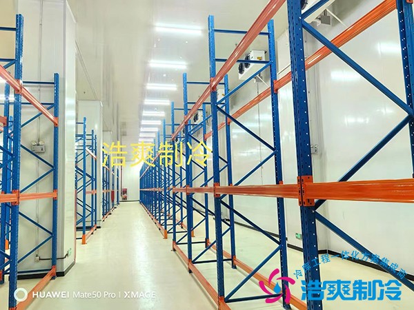 疫苗储存冷库造价