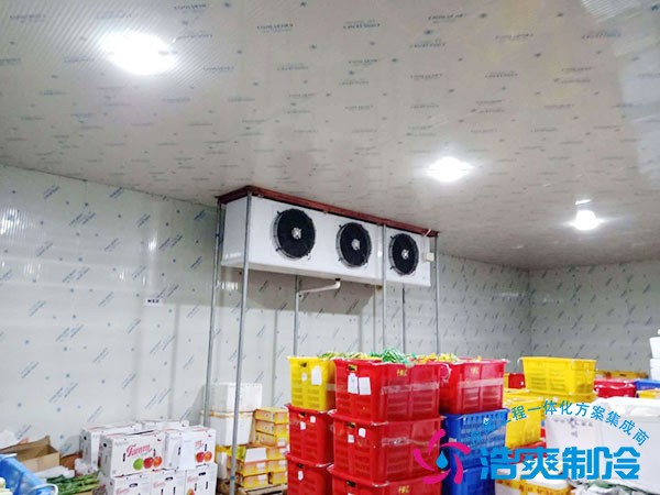 低温存储冷冻库多少钱