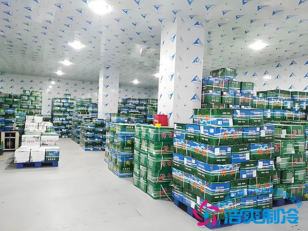 菜市场蔬菜冷库建造