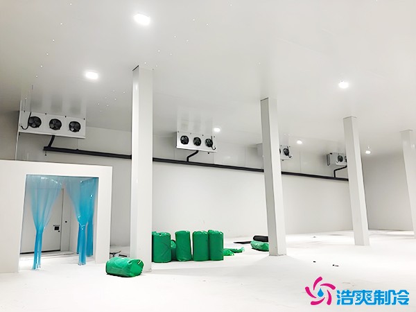 2025年千吨冷库造价多少钱