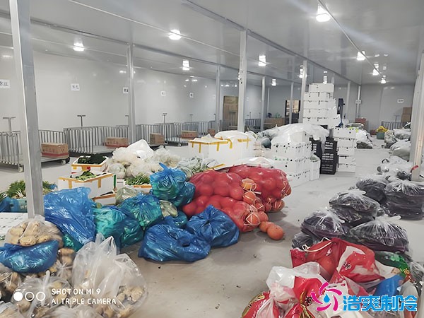 青菜保鲜冷库定制