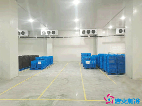 食品厂加工冷库造价多少钱