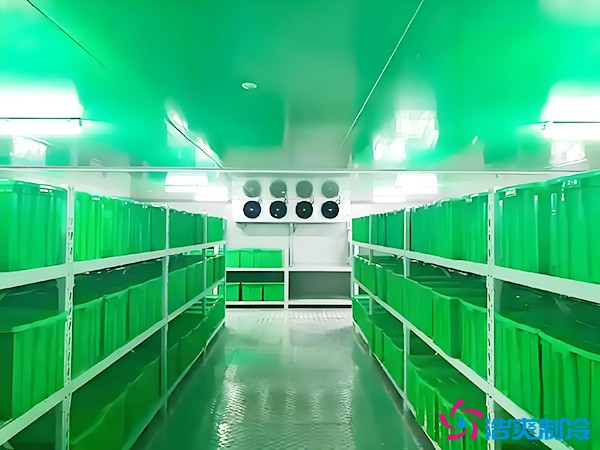 药品批发企业冷藏库平方面积要求多少？1000平药企冷库造价