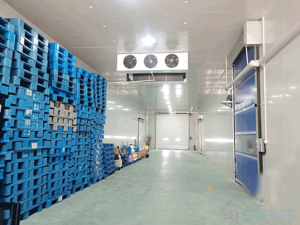 想建一个市级配送中心冷库建设成本大概多少钱？